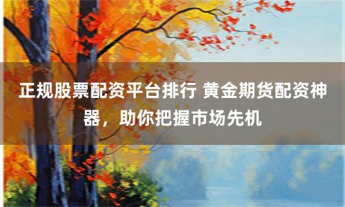 正规股票配资平台排行 黄金期货配资神器，助你把握市场先机